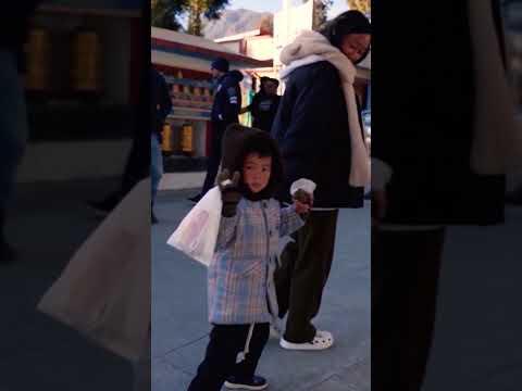 Thumbnail The Incredible Northeast + Nepal | Mountain Goat x MG Motor